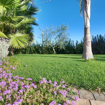 Malia Holiday Villa Conversano Exteriör bild
