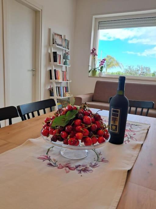 Malia Holiday Villa Conversano Exteriör bild